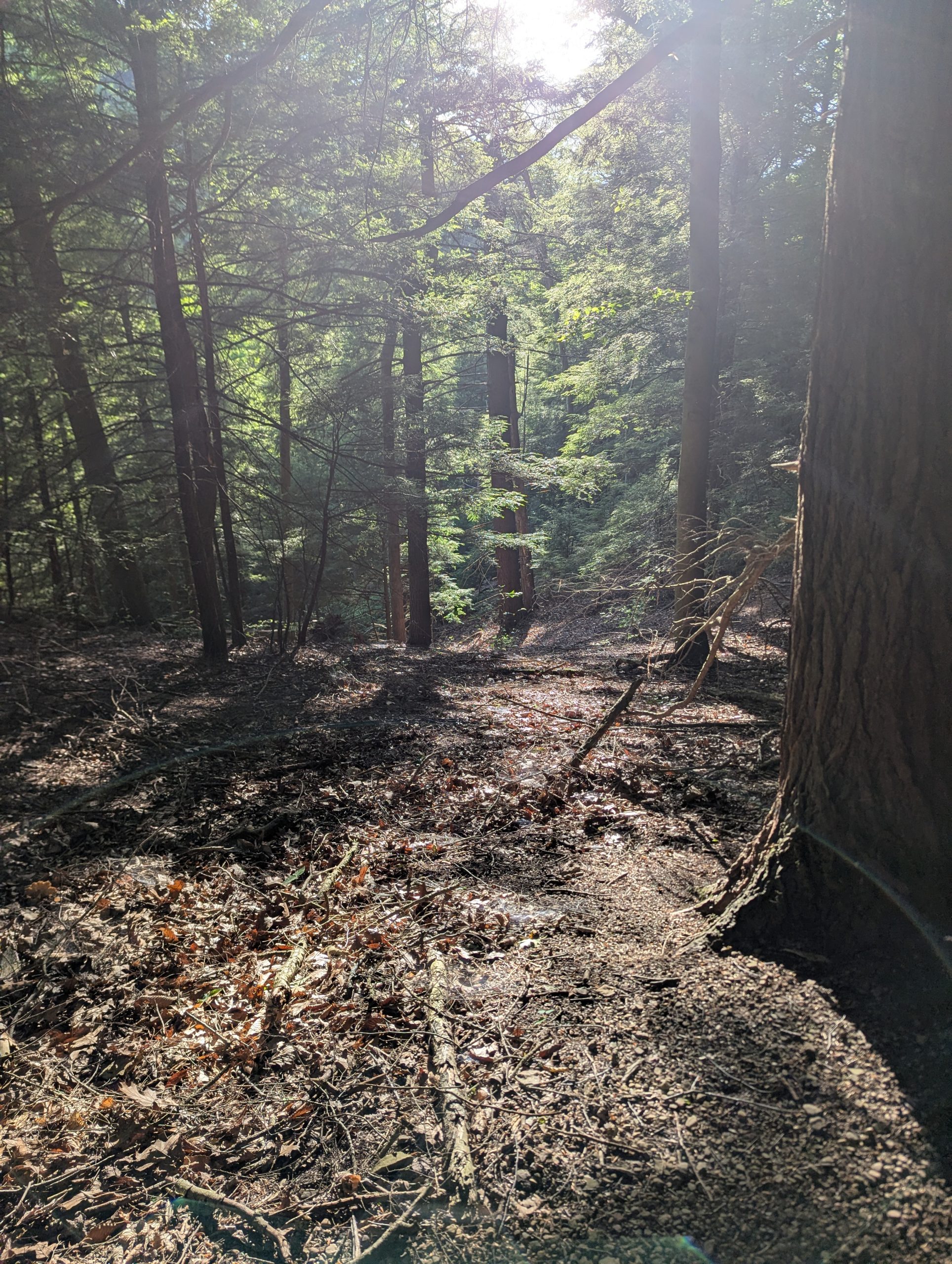 Mohican State Park Pleasant Lake Trail